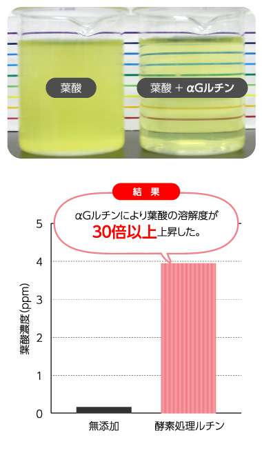 結果 αＧルチンにより葉酸の溶解度が３０倍以上上昇した。